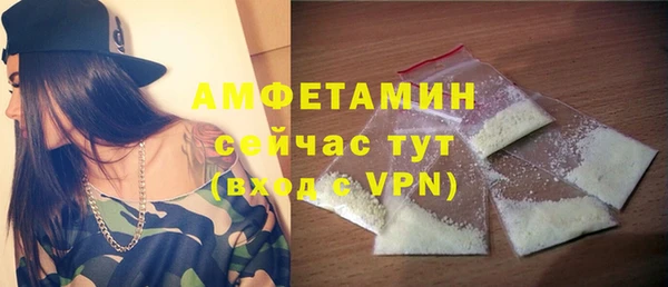 индика Абаза