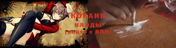 индика Абаза