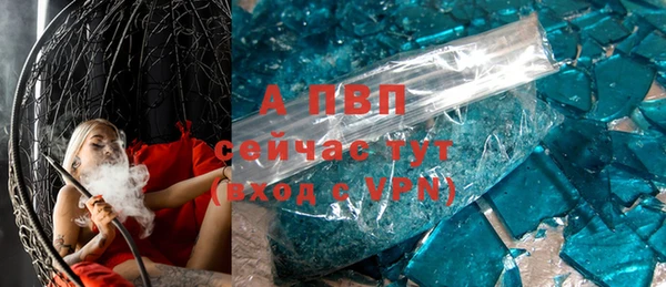 индика Абаза