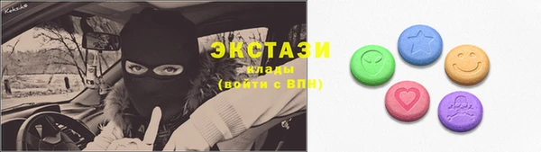 индика Абаза