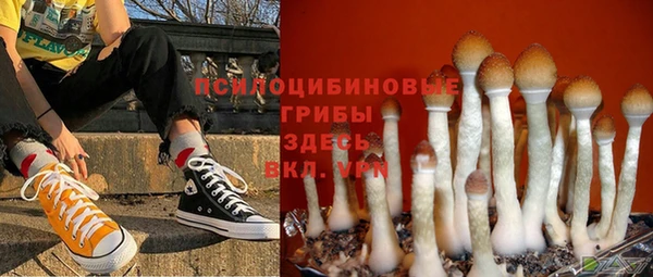 индика Абаза