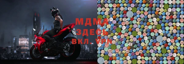 индика Абаза