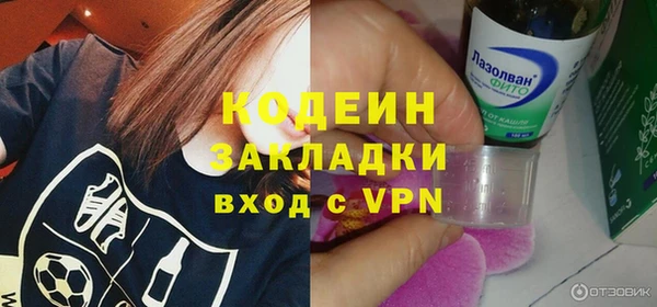 индика Абаза