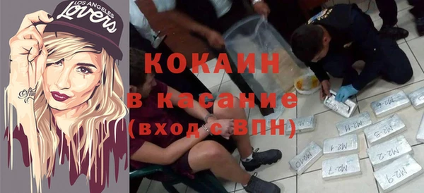 индика Абаза
