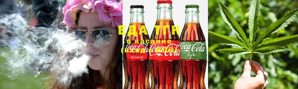 индика Абаза
