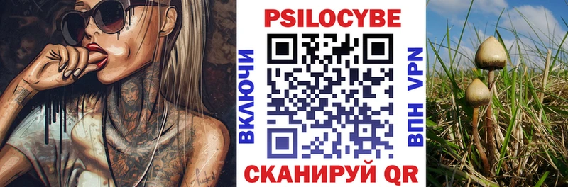 сайты даркнета какой сайт  Ростов-на-Дону  Псилоцибиновые грибы Cubensis 